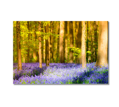 Hallerbos Beech Forest with Bluebells Flowers Canvas Print-Canvas Print-CetArt-1 Panel-24x16 inches-CetArt