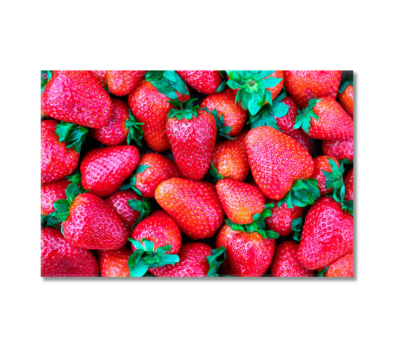 Sweet Ripe Strawberry Canvas Print-Canvas Print-CetArt-1 Panel-24x16 inches-CetArt