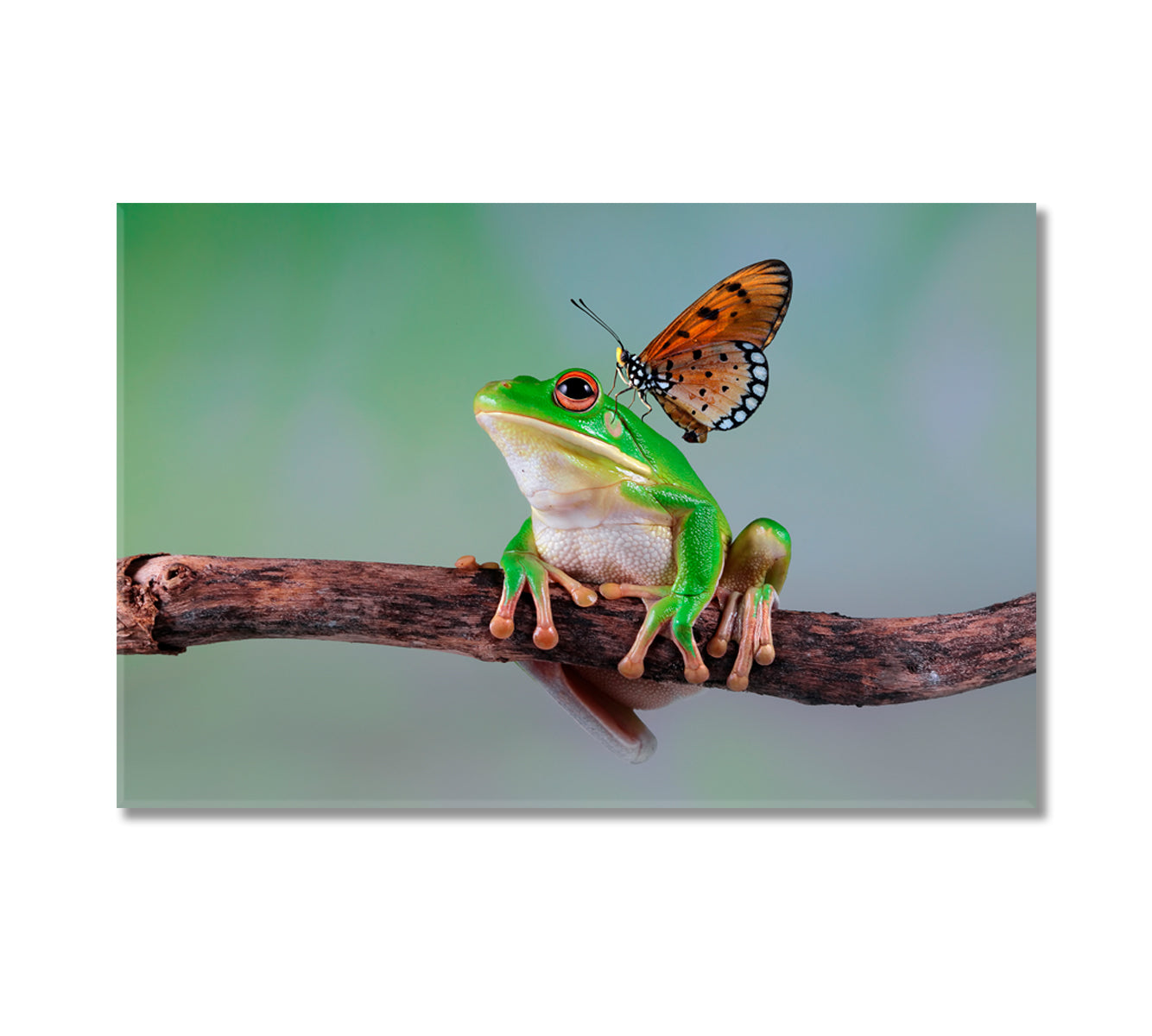 Cute Frog with Butterfly Canvas Print-Canvas Print-CetArt-1 Panel-24x16 inches-CetArt