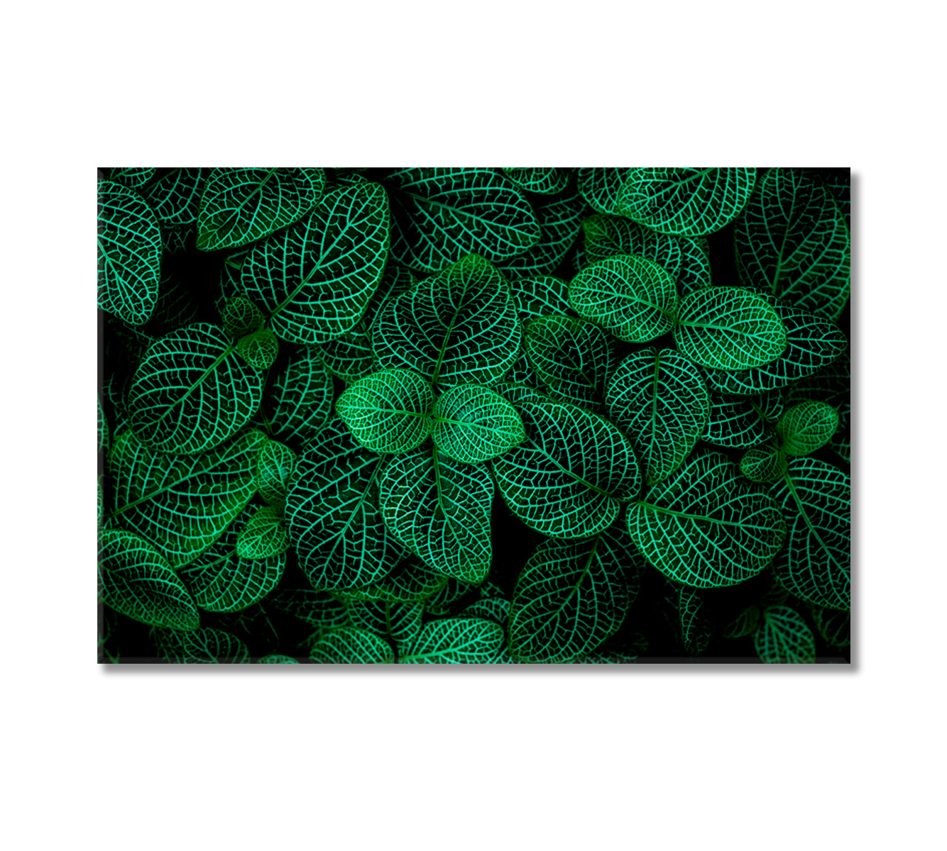 Beautiful Abstract Green Leaves Canvas Print-Canvas Print-CetArt-1 Panel-24x16 inches-CetArt