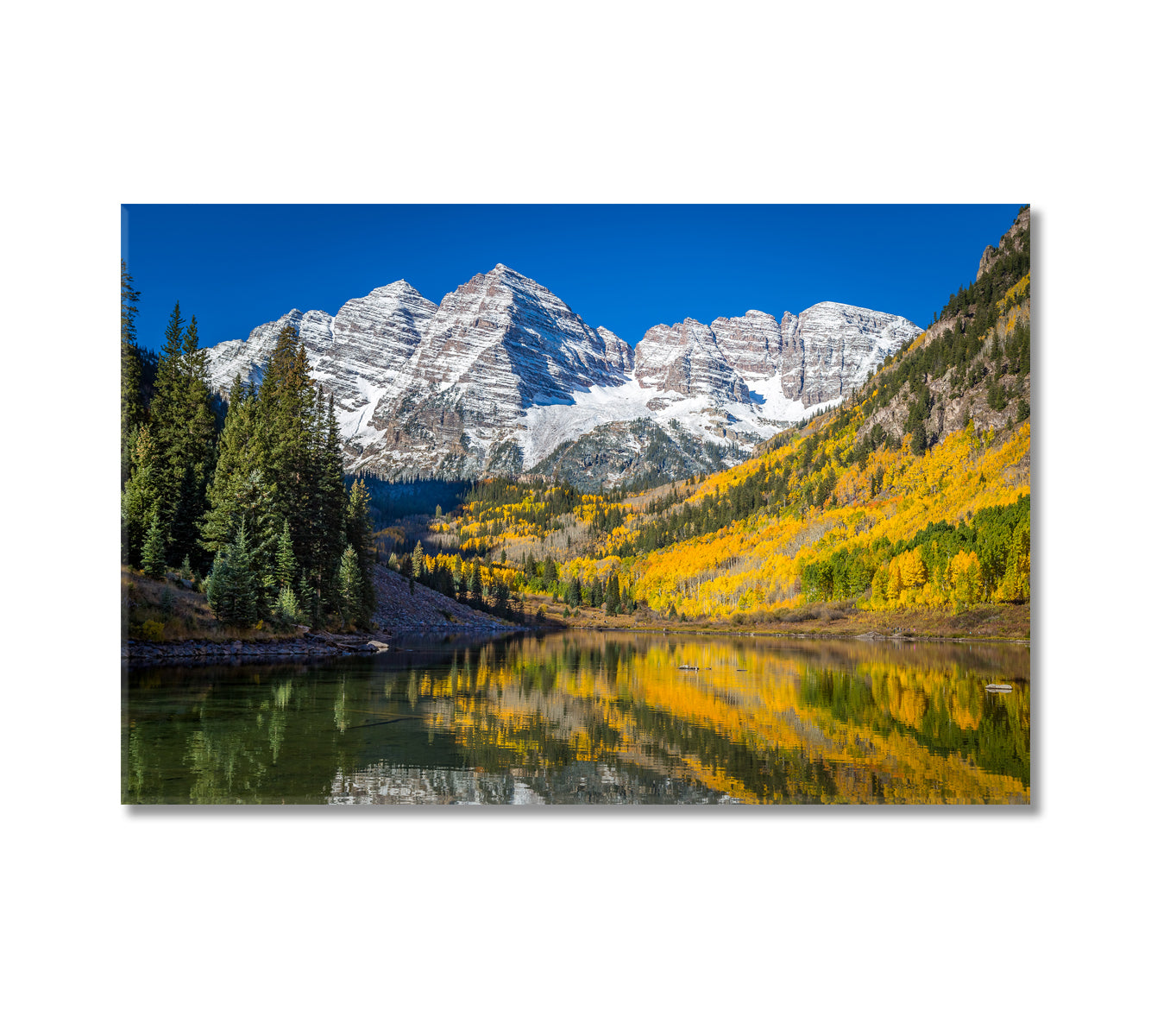 Maroon Bells Surrounded in Autumn Canvas Print-Canvas Print-CetArt-1 Panel-24x16 inches-CetArt