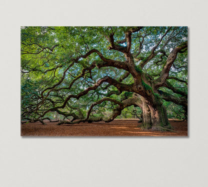 Oak Tree Canvas Print-Canvas Print-CetArt-1 Panel-24x16 inches-CetArt