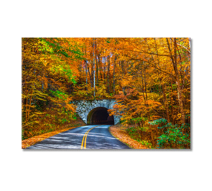 Blue Ridge Parkway Tunnel During Fall North Carolina Canvas Print-Canvas Print-CetArt-1 Panel-24x16 inches-CetArt