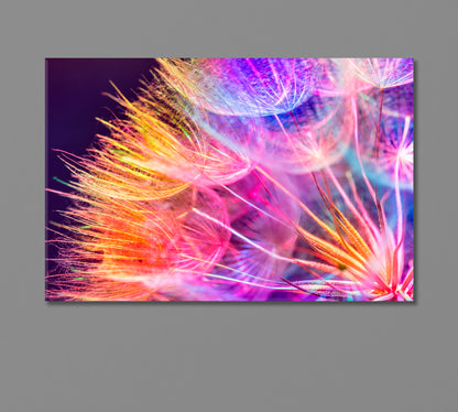 Vivid Abstract Dandelion Flower Canvas Print-Canvas Print-CetArt-1 Panel-24x16 inches-CetArt