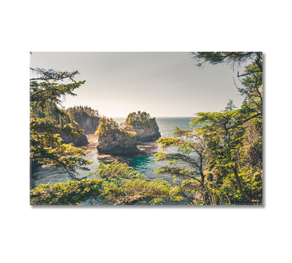 Cape Flattery Landscape Washington State USA Canvas Print-Canvas Print-CetArt-1 Panel-24x16 inches-CetArt