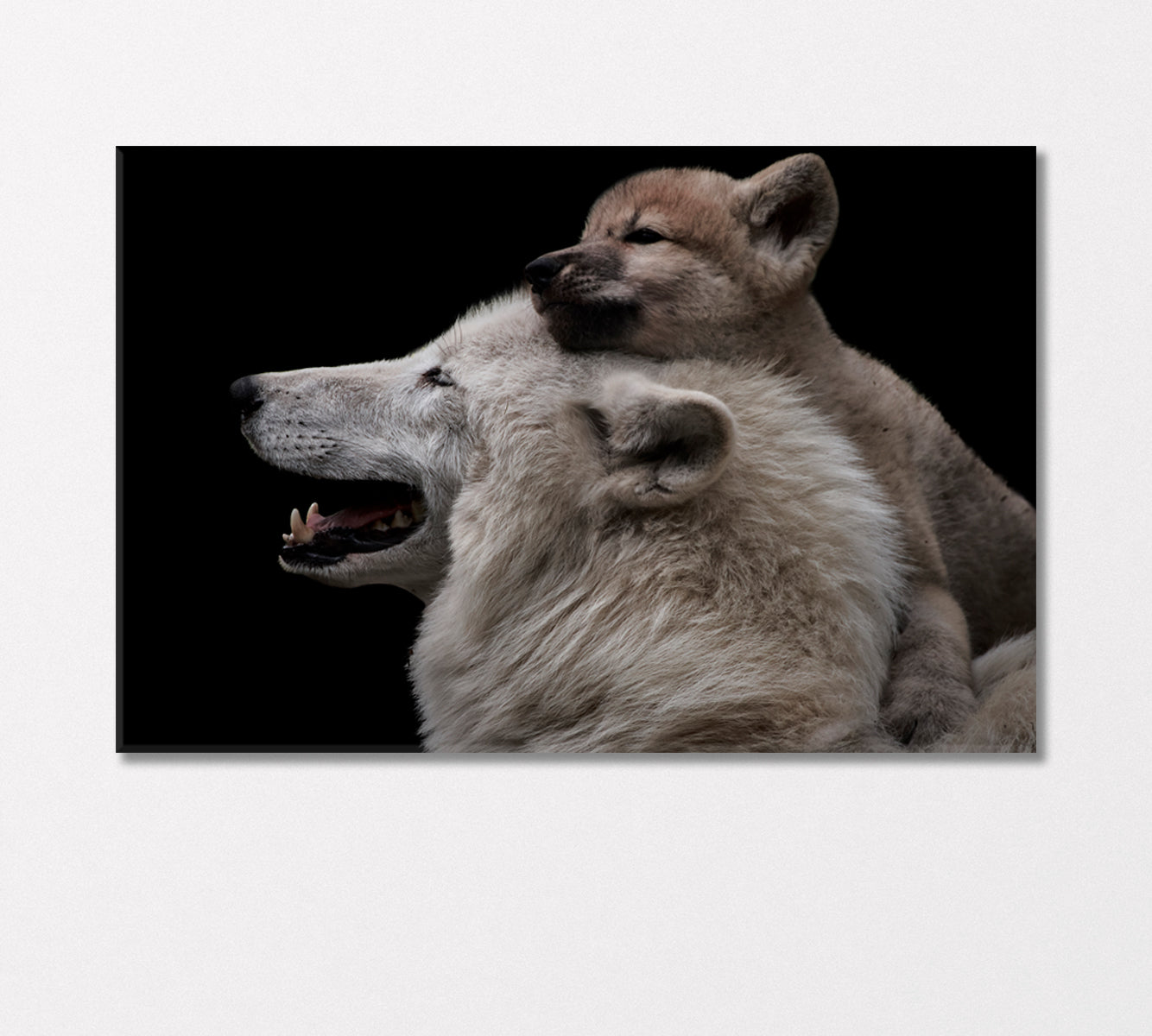 Arctic She-Wolf with Cub Canvas Print-Canvas Print-CetArt-1 Panel-24x16 inches-CetArt