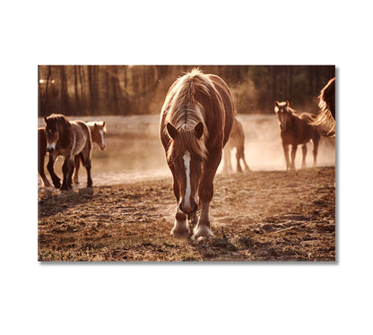 Stunningly Beautiful Herd of Horses Canvas Print-Canvas Print-CetArt-1 Panel-24x16 inches-CetArt