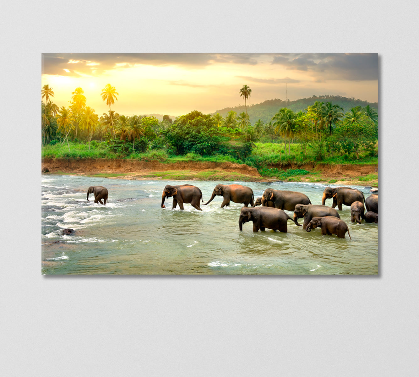 Herd of Elephants in River Canvas Print-Canvas Print-CetArt-1 Panel-24x16 inches-CetArt