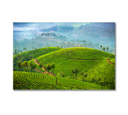 Tea Plantations in Munnar India Canvas Print-Canvas Print-CetArt-1 Panel-24x16 inches-CetArt