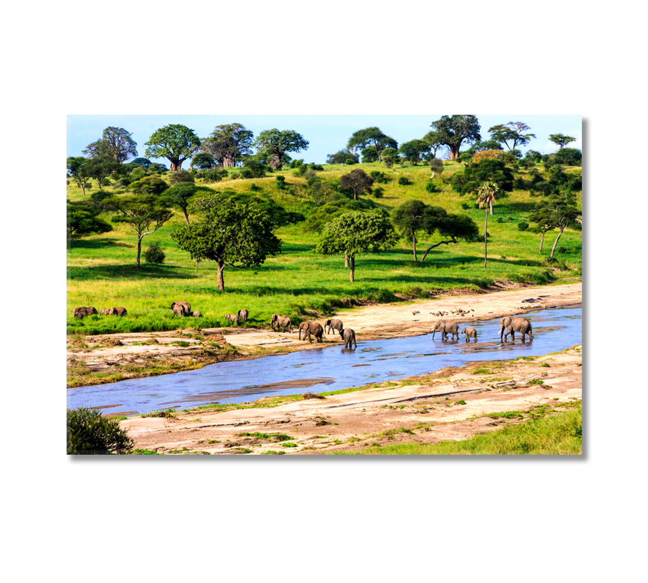 Elephants Cross River in Serengeti National Park Tanzania Africa Canvas Print-Canvas Print-CetArt-1 Panel-24x16 inches-CetArt