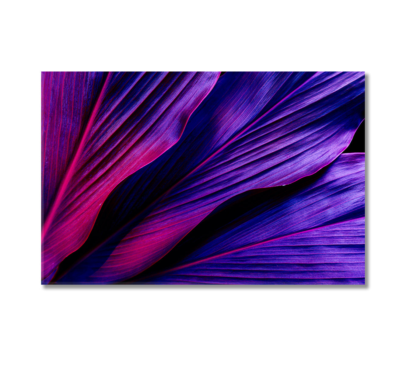 Purple Tropical Leaves Canvas Print-Canvas Print-CetArt-1 Panel-24x16 inches-CetArt