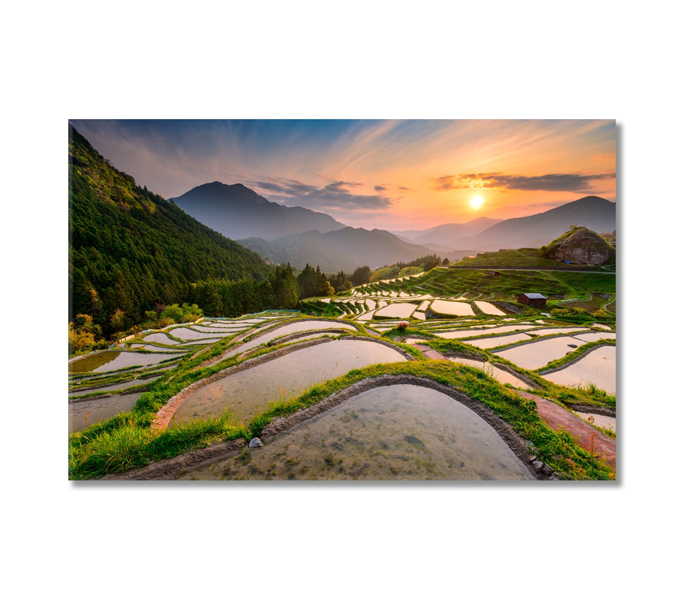 Rice Terraces at Sunset Japan Canvas Print-Canvas Print-CetArt-1 Panel-24x16 inches-CetArt