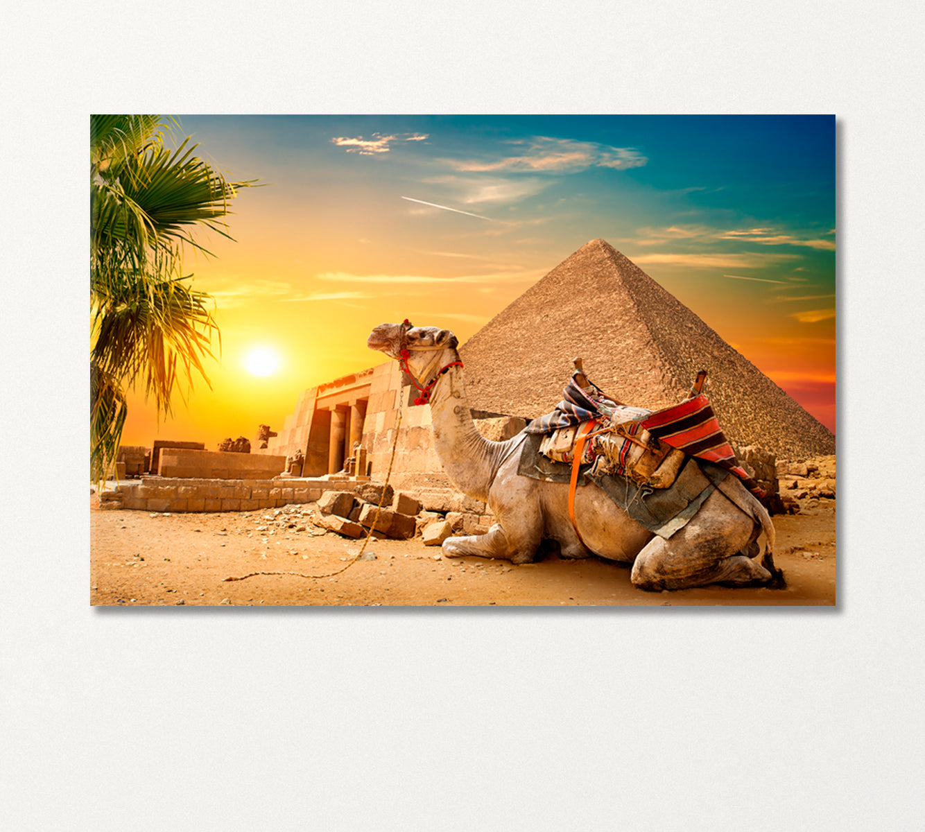 Camel Lies near Egyptian Pyramid Canvas Print-Canvas Print-CetArt-1 Panel-24x16 inches-CetArt