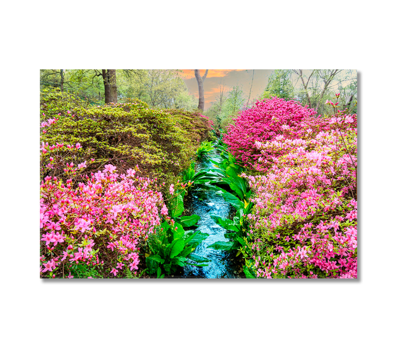 Isabella Plantation of Richmond Park in London Canvas Print-Canvas Print-CetArt-1 Panel-24x16 inches-CetArt