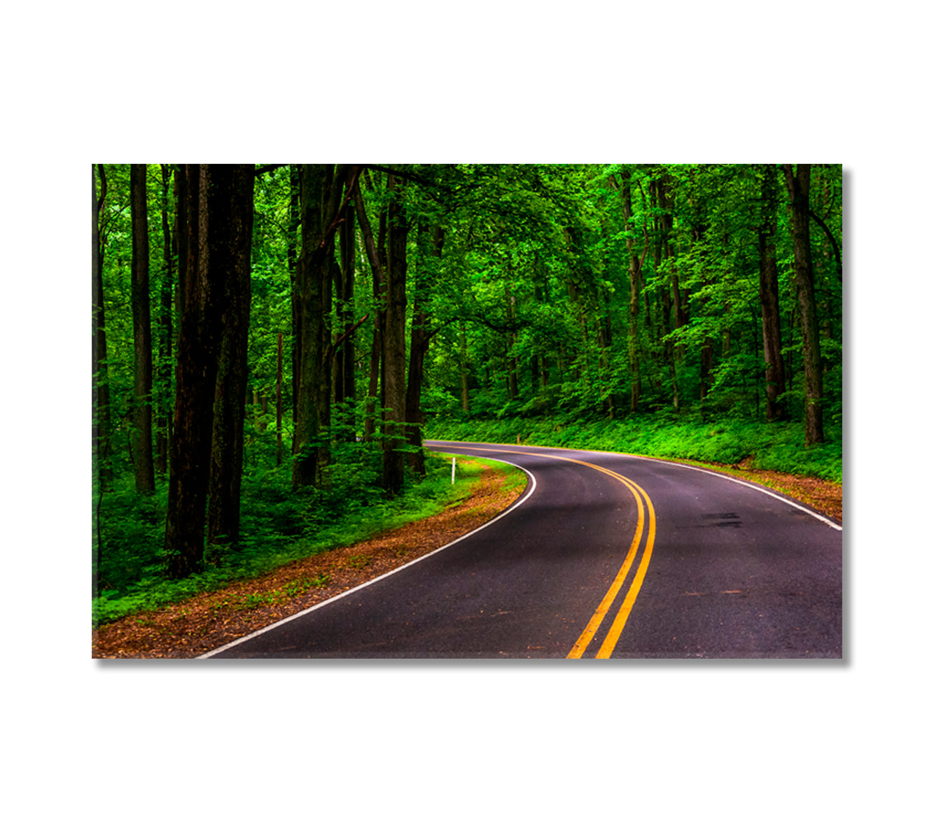 Skyline Drive in Shenandoah National Park Virginia Canvas Print-Canvas Print-CetArt-1 Panel-24x16 inches-CetArt