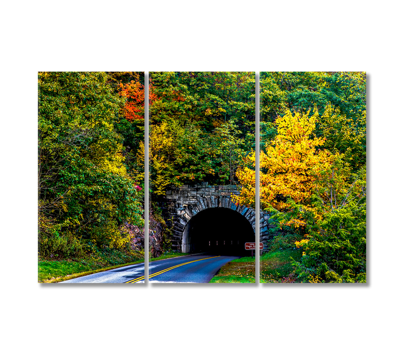 North Carolina Mountain Tunnel Canvas Print-Canvas Print-CetArt-3 Panels-36x24 inches-CetArt