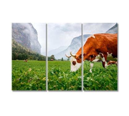 Traditional Swiss Cows Canvas Print-Canvas Print-CetArt-3 Panels-36x24 inches-CetArt