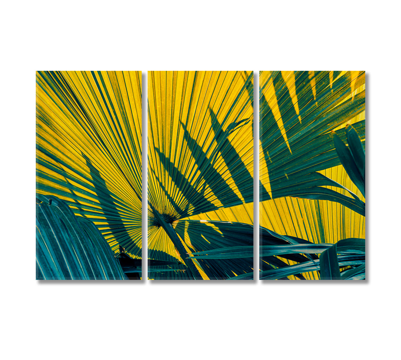 Natural Tropical Palm Leaf Canvas Print-Canvas Print-CetArt-3 Panels-36x24 inches-CetArt