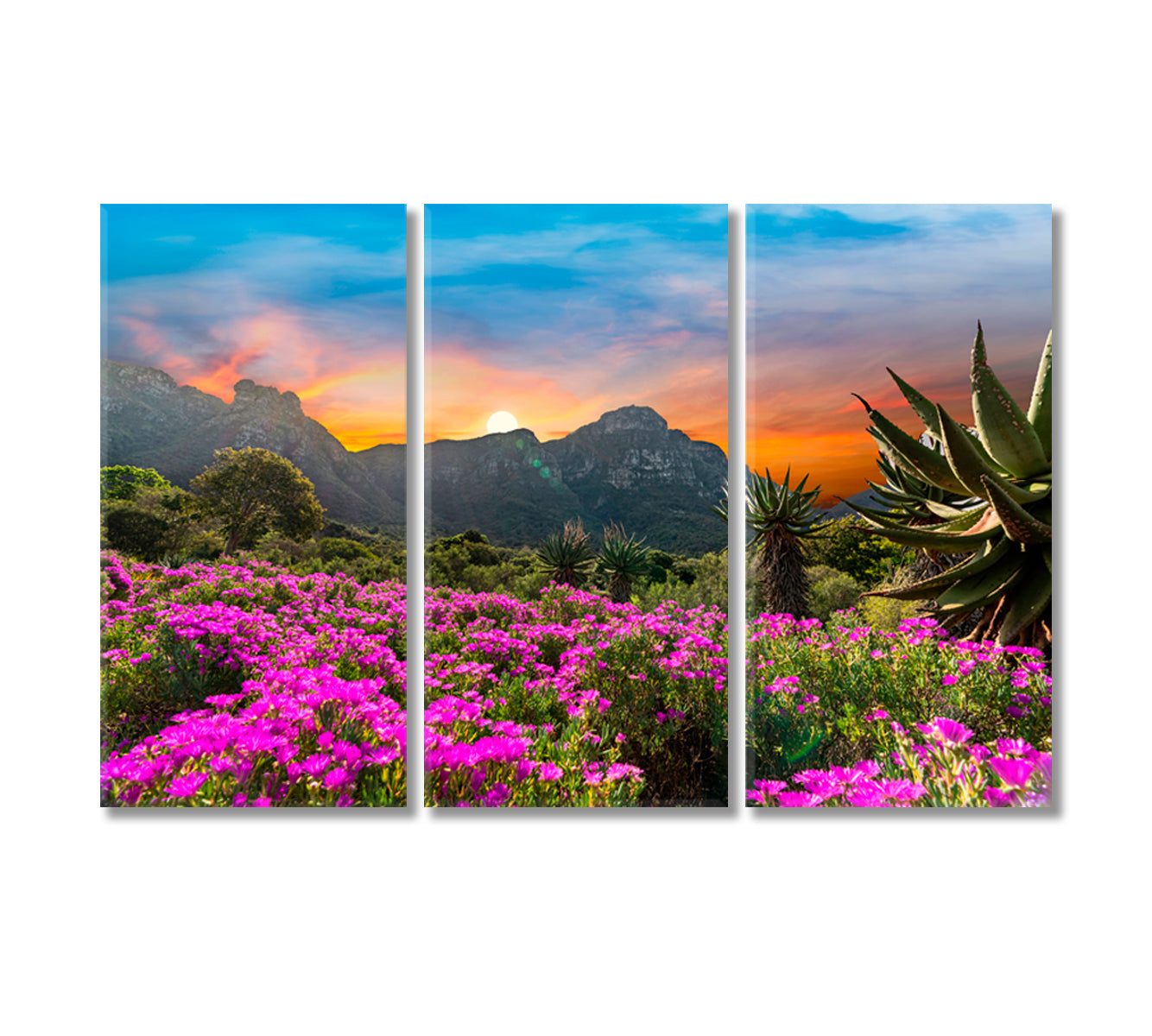 Kirstenbosch National Botanical Garden Cape Town South Africa Canvas Print-Canvas Print-CetArt-3 Panels-36x24 inches-CetArt