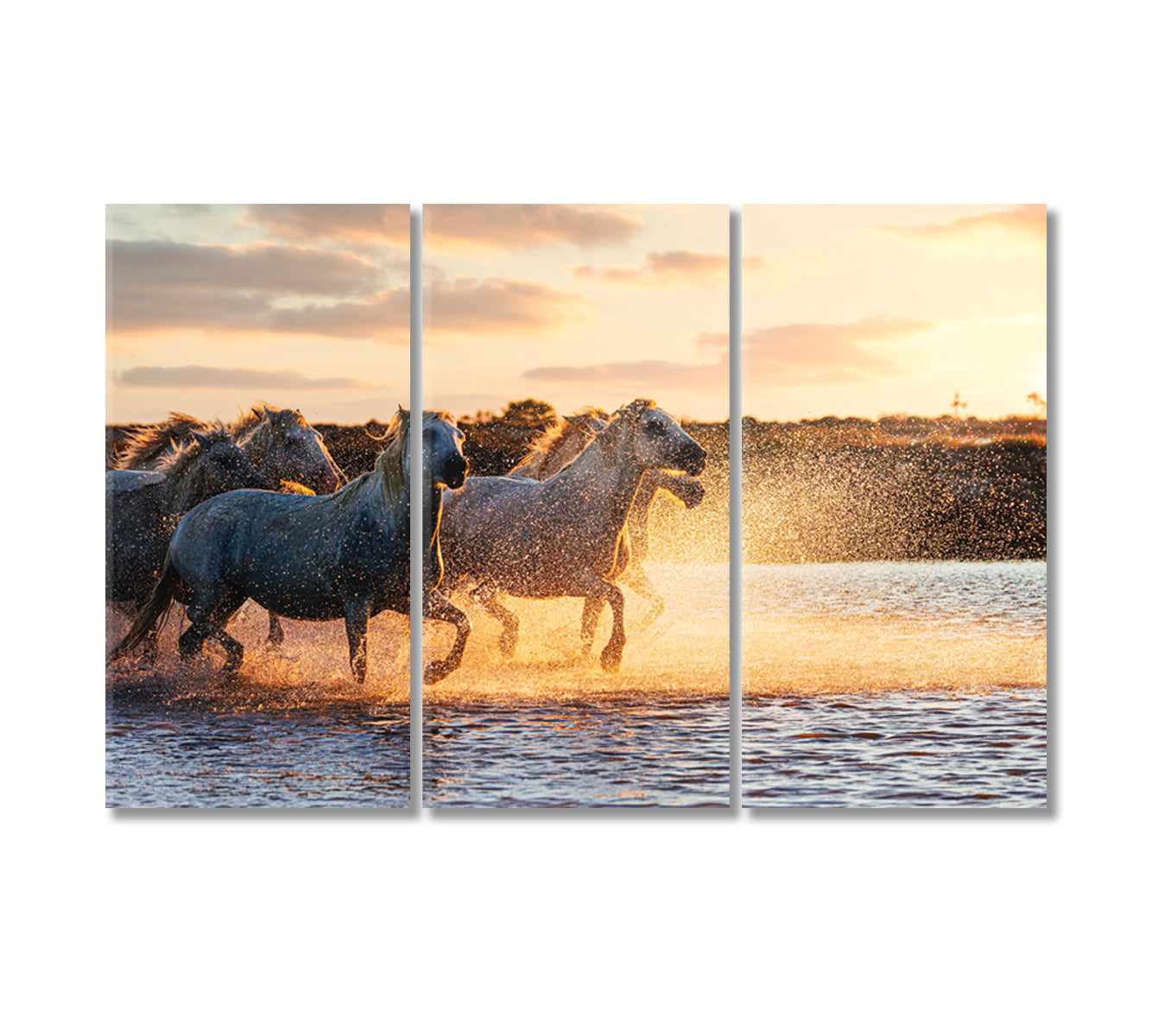 Wild White Horses of Camargue Running on Water Canvas Print-Canvas Print-CetArt-3 Panels-36x24 inches-CetArt