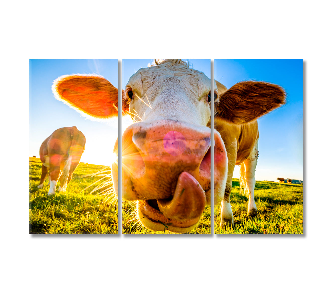 Cute Cow Canvas Print-Canvas Print-CetArt-3 Panels-36x24 inches-CetArt