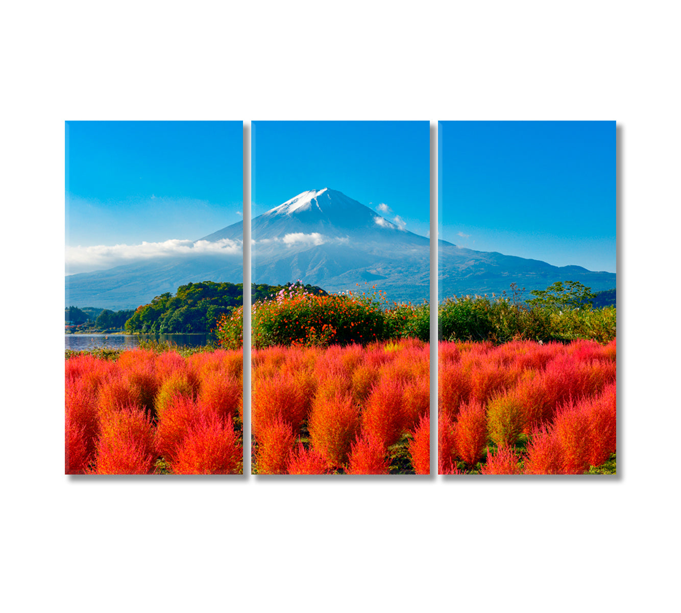 Mount Fuji in Autumn Canvas Print-Canvas Print-CetArt-3 Panels-36x24 inches-CetArt