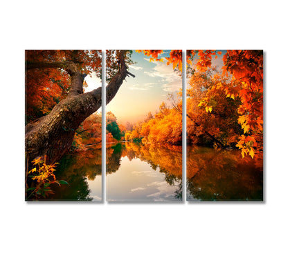 Amazing Autumn on River in Forest Canvas Print-Canvas Print-CetArt-3 Panels-36x24 inches-CetArt