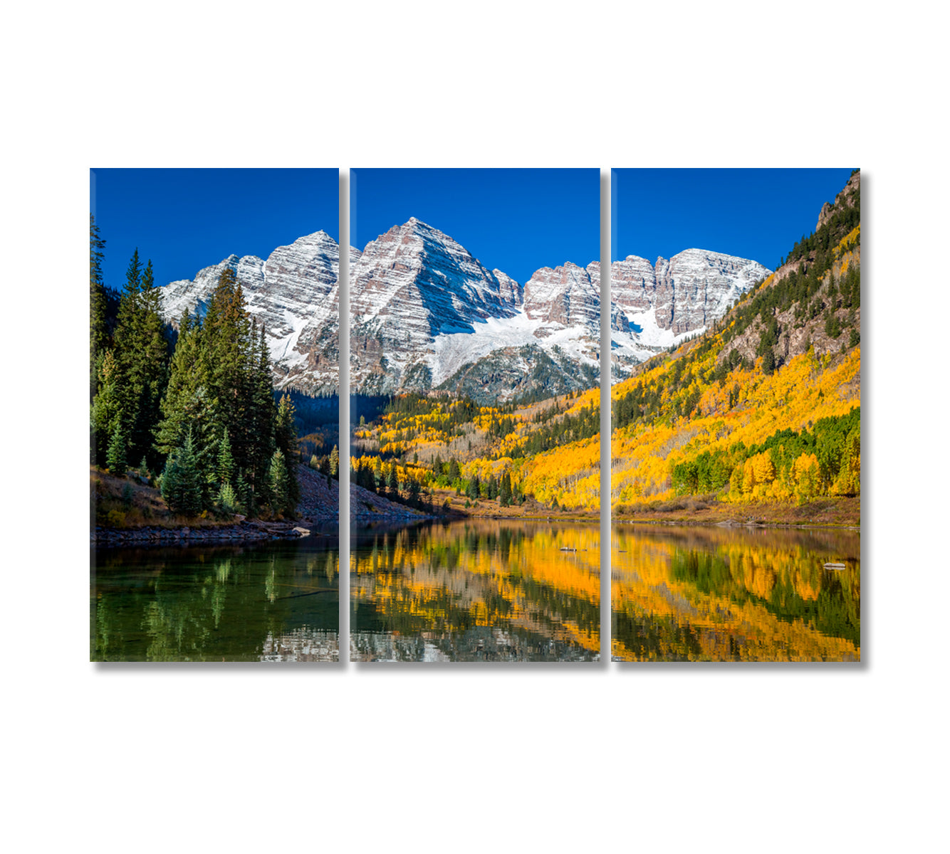 Maroon Bells Surrounded in Autumn Canvas Print-Canvas Print-CetArt-3 Panels-36x24 inches-CetArt