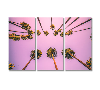 Stunning Purple Sky with Palm Trees Canvas Print-Canvas Print-CetArt-3 Panels-36x24 inches-CetArt