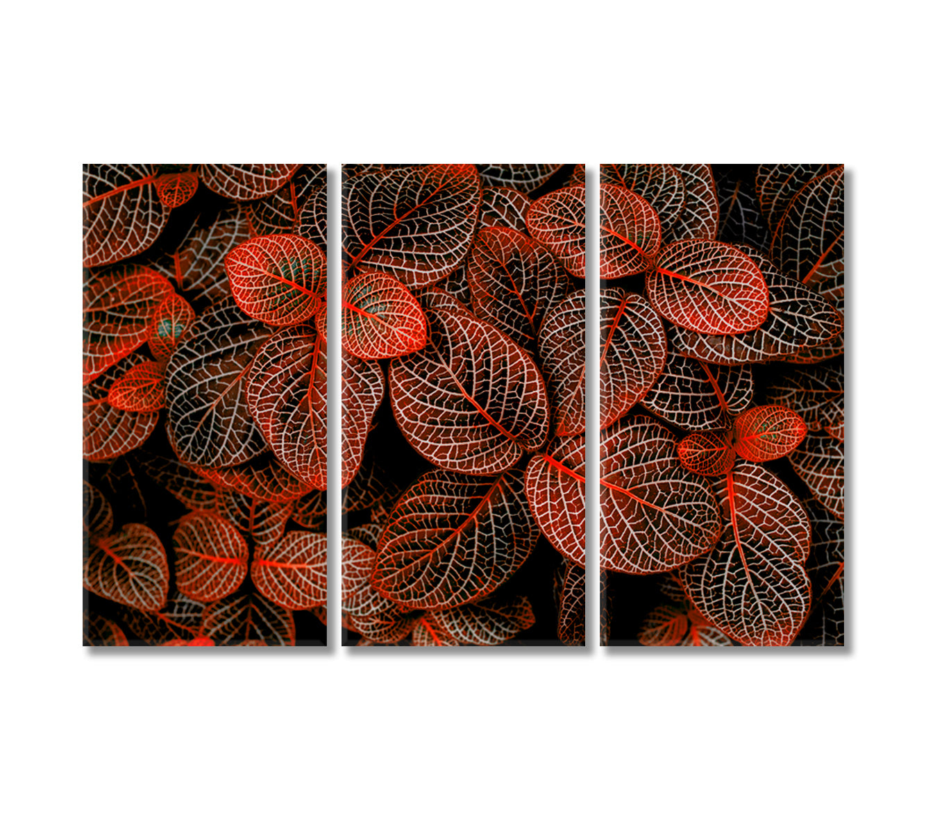 Tropical Red Leaves Fittonia Verschaffeltii Canvas Print-Canvas Print-CetArt-3 Panels-36x24 inches-CetArt