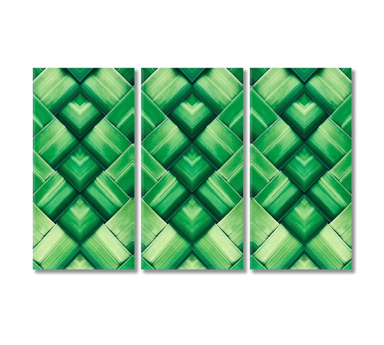 Abstract Palm Leaf Canvas Print-Canvas Print-CetArt-3 Panels-36x24 inches-CetArt