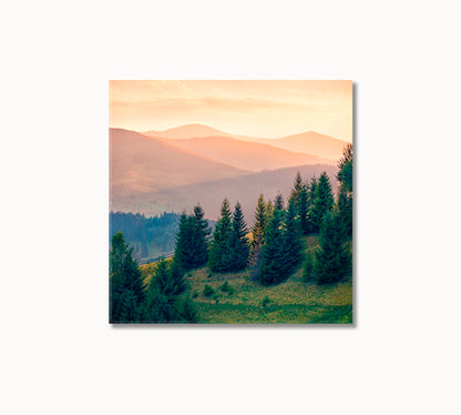 Summer Landscape Carpathian Mountains Ukraine Canvas Print-Canvas Print-CetArt-1 panel-12x12 inches-CetArt