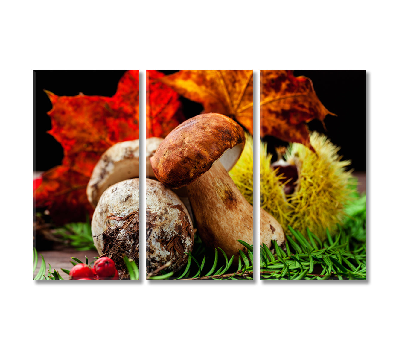 Porcini Mushroom in Autumn Foliage Canvas Print-Canvas Print-CetArt-3 Panels-36x24 inches-CetArt