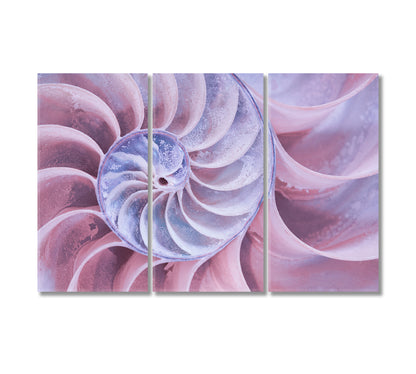 Nautilus Shell Canvas Print-Canvas Print-CetArt-3 Panels-36x24 inches-CetArt