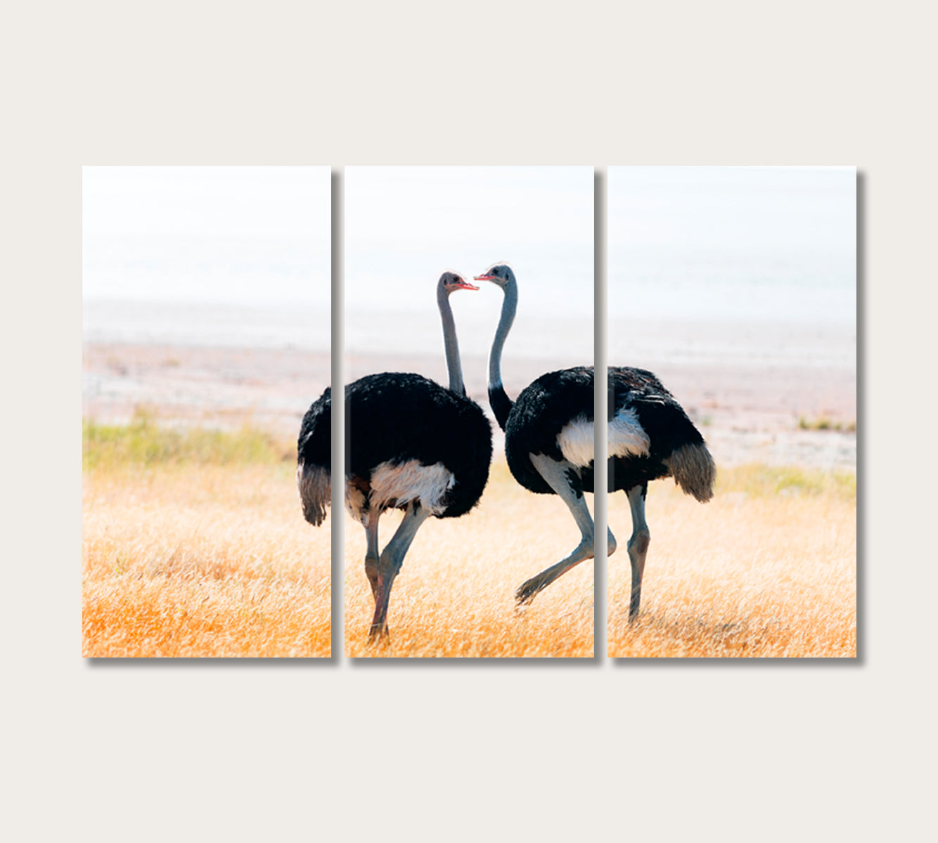 Ostriches Couple in Etosha National Park Namibia Africa Canvas Print-Canvas Print-CetArt-3 Panels-36x24 inches-CetArt