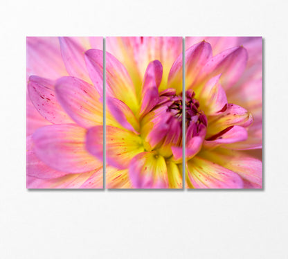 Dahlia Flower Canvas Print-Canvas Print-CetArt-3 Panels-36x24 inches-CetArt