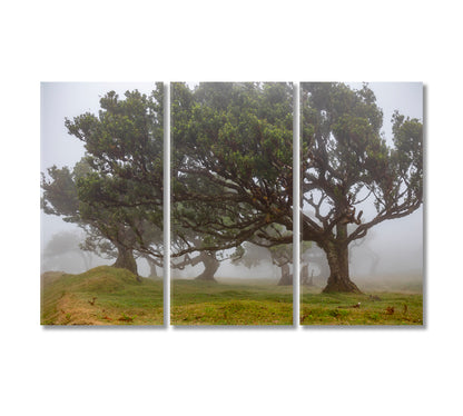 Beautiful Trees in Fog Canvas Print-Canvas Print-CetArt-3 Panels-36x24 inches-CetArt