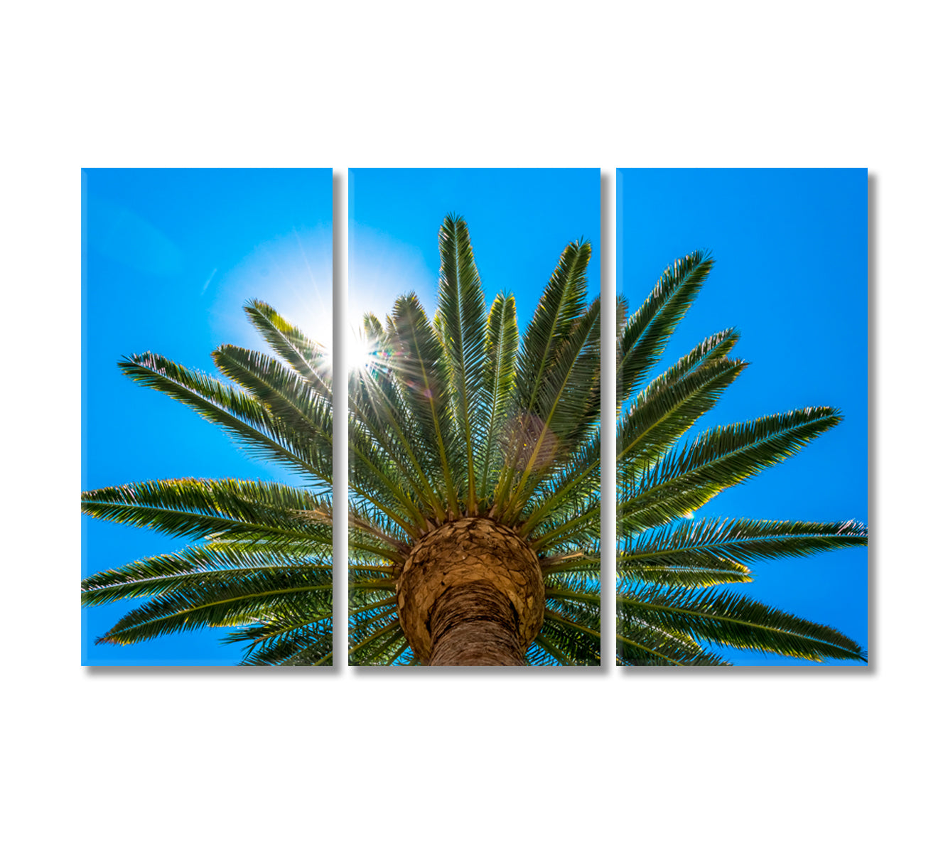 Palm Trees in Sun Rays California Canvas Print-Canvas Print-CetArt-3 Panels-36x24 inches-CetArt