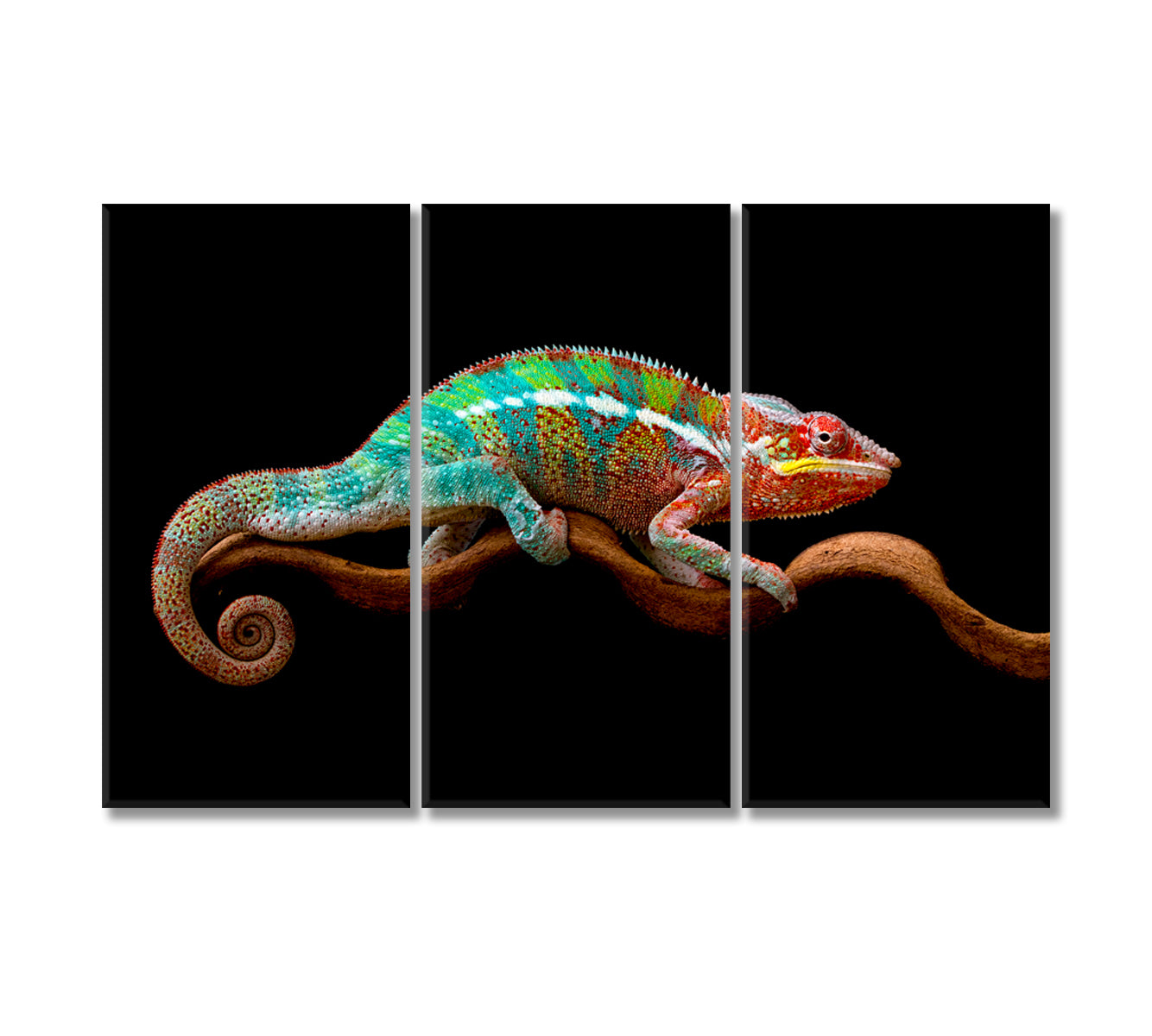 Panther Chameleon Canvas Print-Canvas Print-CetArt-3 Panels-36x24 inches-CetArt