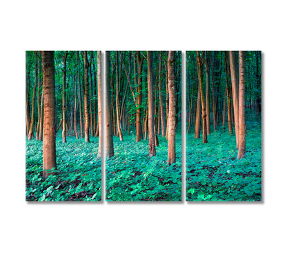 Oak Forest Canvas Print-Canvas Print-CetArt-3 Panels-36x24 inches-CetArt