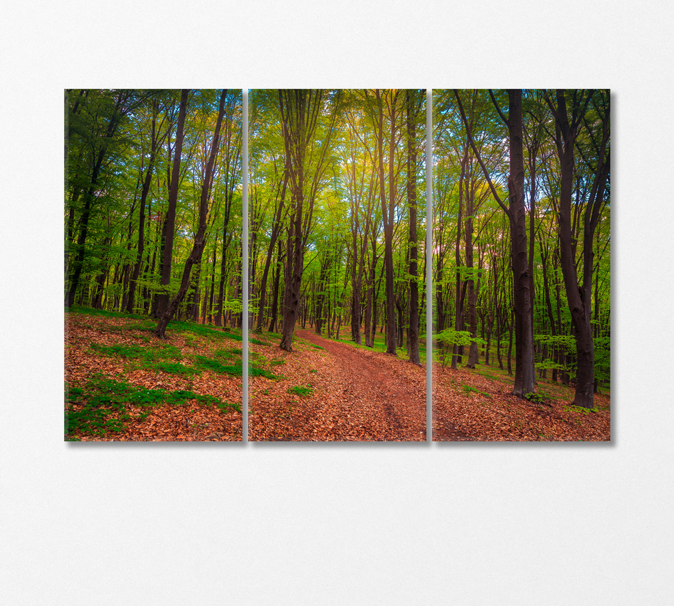 Spring Forest Landscape Canvas Print-Canvas Print-CetArt-3 Panels-36x24 inches-CetArt