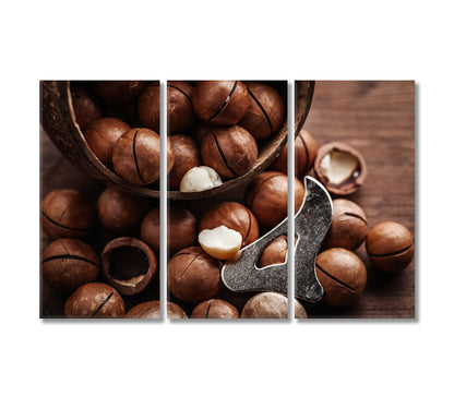 Macadamia Nuts Canvas Print-Canvas Print-CetArt-3 Panels-36x24 inches-CetArt