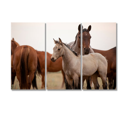 Mustangs in Montana Canvas Print-Canvas Print-CetArt-3 Panels-36x24 inches-CetArt