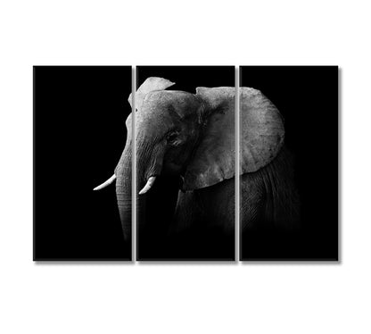 African Elephant in Black and White Canvas Print-Canvas Print-CetArt-3 Panels-36x24 inches-CetArt