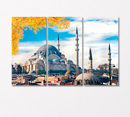 Suleymaniye Mosque Istanbul Turkey Canvas Print-Canvas Print-CetArt-3 Panels-36x24 inches-CetArt