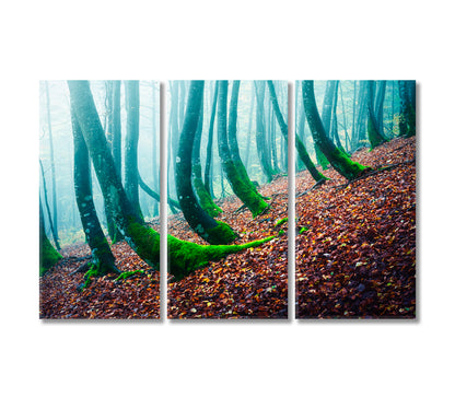 Mysterious Forest with Beech with Moss Canvas Print-Canvas Print-CetArt-3 Panels-36x24 inches-CetArt