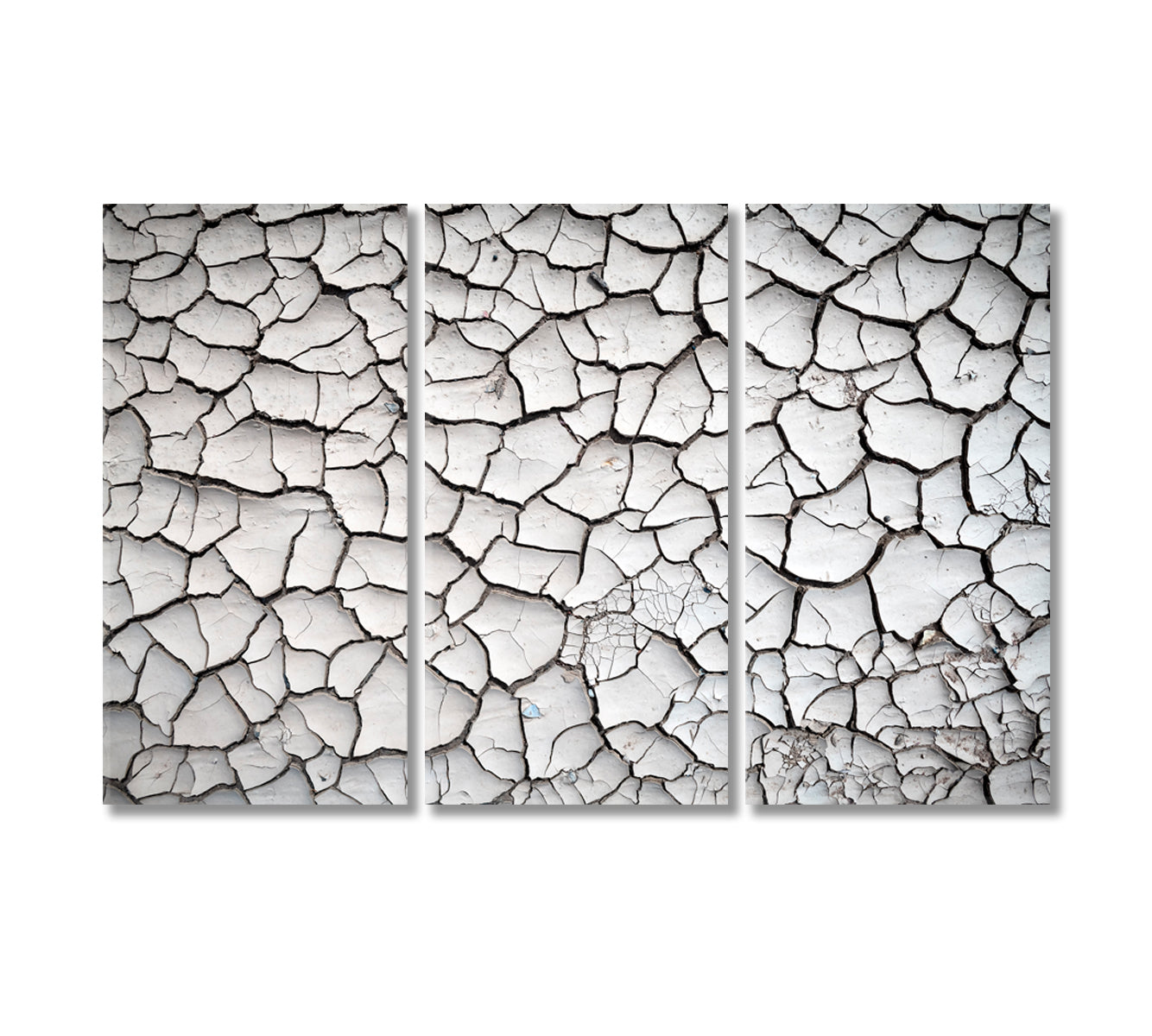 Cracked Land Canvas Print-Canvas Print-CetArt-3 Panels-36x24 inches-CetArt