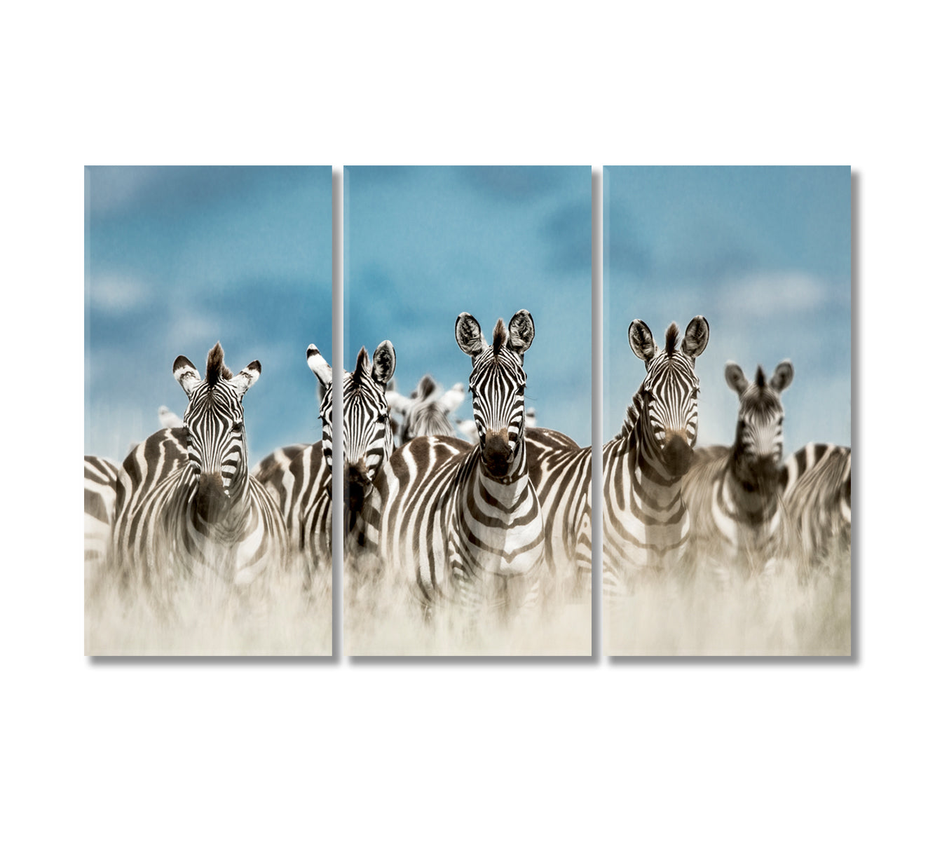 Zebra Herd in Savannah Serengeti Africa Canvas Print-Canvas Print-CetArt-3 Panels-36x24 inches-CetArt