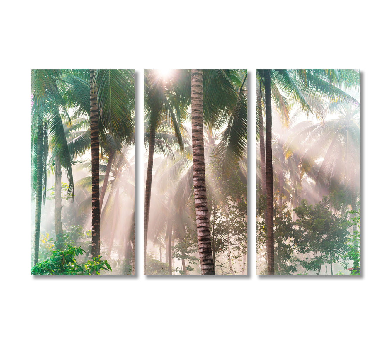 Tropical Palm Tree Forest with Sunbeams Canvas Print-Canvas Print-CetArt-3 Panels-36x24 inches-CetArt