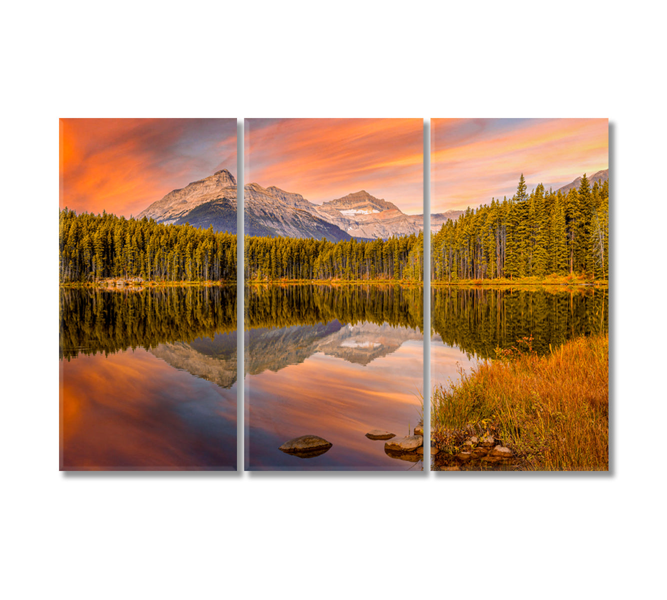 Herbert Lake Jasper National park Alberta Canada Canvas Print-Canvas Print-CetArt-3 Panels-36x24 inches-CetArt